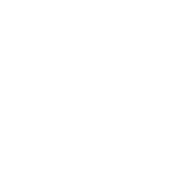 Pure Cane Sugar